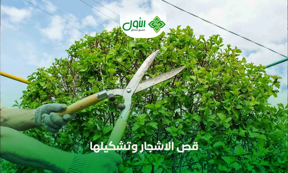 قص الاشجار وتشكيلها