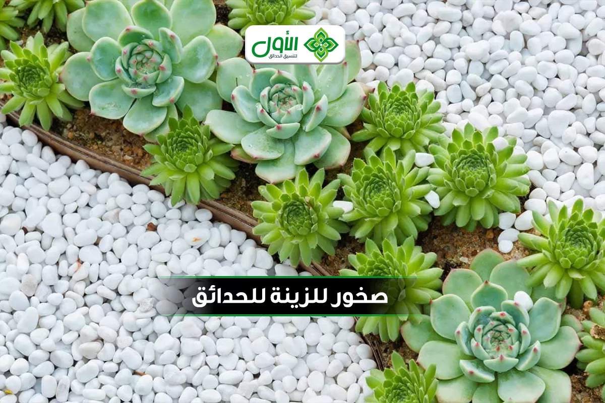 صخور للزينة للحدائق