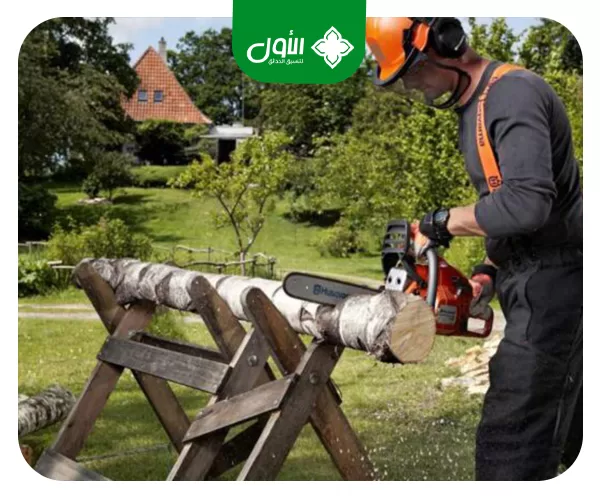 قص الاشجار الكبيرة قص الاشجار الكبيرة