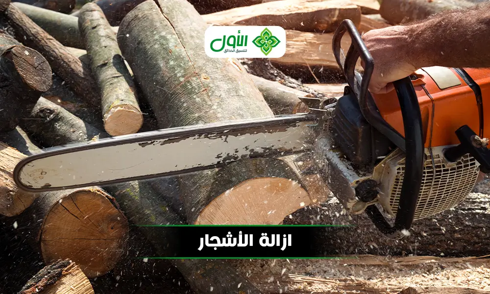 شركة الاول افضل شركة لـ ازالة الاشجار