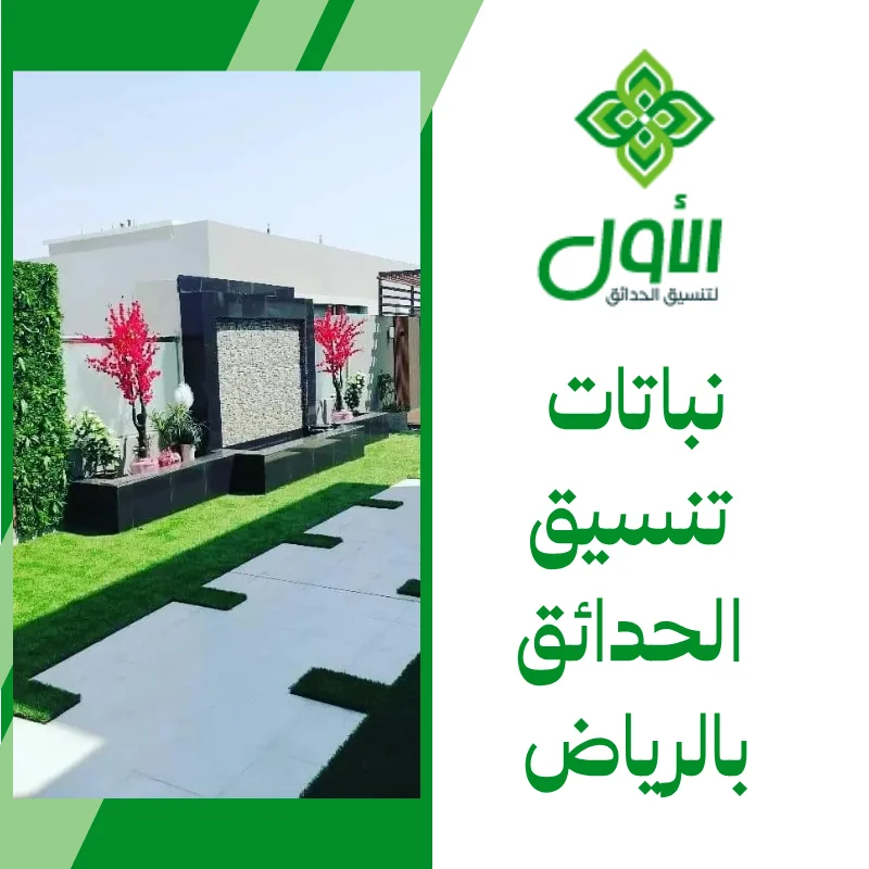 الأول لتنسيق الحدائق أفضل شركة تنسيق حدائق بالرياض0564294127 نباتات تنسيق الحدائق بالرياض