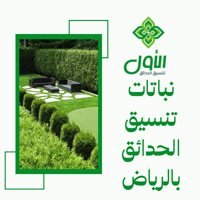 الأول لتنسيق الحدائق أفضل شركة تنسيق حدائق بالرياض0564294127 نباتات تنسيق الحدائق بالرياض