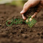 الأول لتنسيق الحدائق أفضل شركة تنسيق حدائق بالرياض0564294127