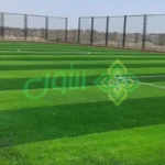 الأول لتنسيق الحدائق أفضل شركة تنسيق حدائق بالرياض0564294127