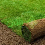 الأول لتنسيق الحدائق أفضل شركة تنسيق حدائق بالرياض0564294127