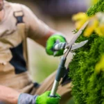 الأول لتنسيق الحدائق أفضل شركة تنسيق حدائق بالرياض0564294127