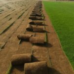 الأول لتنسيق الحدائق أفضل شركة تنسيق حدائق بالرياض0564294127