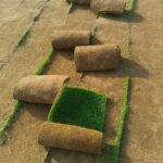 الأول لتنسيق الحدائق أفضل شركة تنسيق حدائق بالرياض0564294127