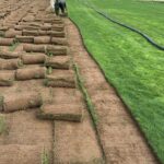 الأول لتنسيق الحدائق أفضل شركة تنسيق حدائق بالرياض0564294127