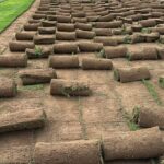 الأول لتنسيق الحدائق أفضل شركة تنسيق حدائق بالرياض0564294127