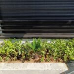 الأول لتنسيق الحدائق أفضل شركة تنسيق حدائق بالرياض0564294127