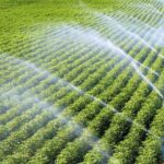 الأول لتنسيق الحدائق أفضل شركة تنسيق حدائق بالرياض0564294127