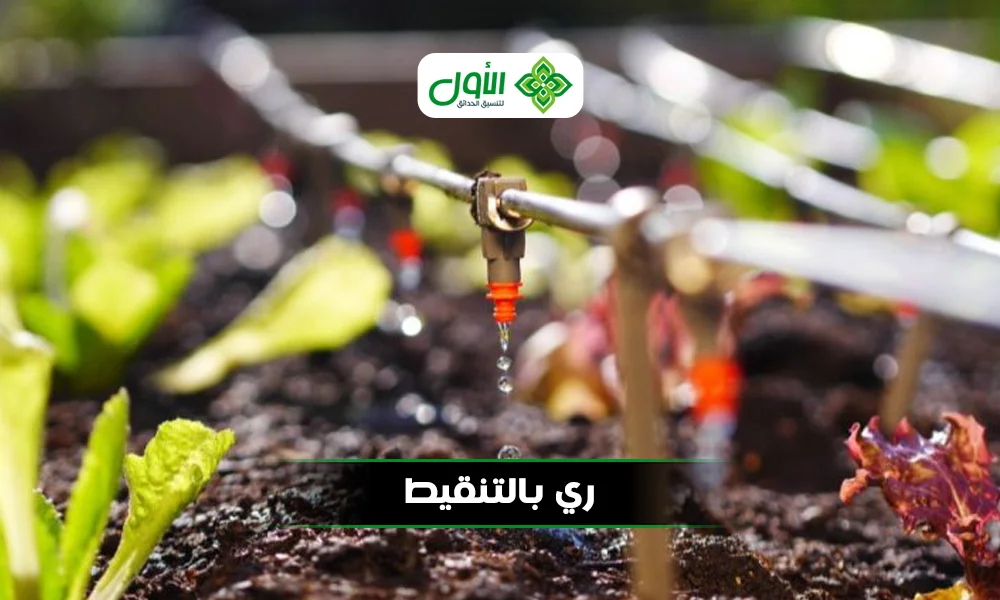 ري بالتنقيط