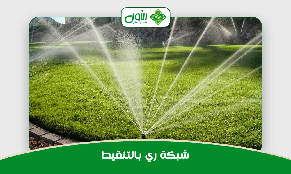 شبكة ري بالتنقيط