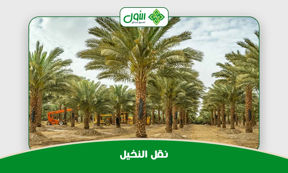 نقل النخيل